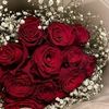 amiraahmed5659