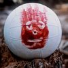 Wilson 👺👺