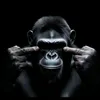 phuc..97