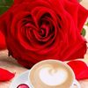 safiya_490