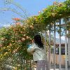 ecstacy_d