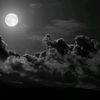 husseinawad37