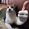 mr_notme