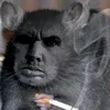 vrbthug