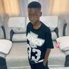 laminesarr904