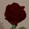 jamrathore19