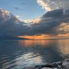 cicek_061