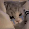 .usernametk