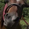 aidanfischer1