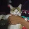don_3ek