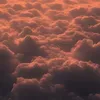 _walxxd_