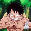 luffysilly