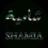 شـــــــــــــــــــــــــــام
