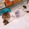 bepnha_kim