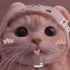 shirley29