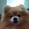 fernandasouza452
