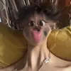 dmduxc