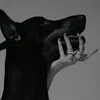 r_ichard