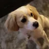 dailytiktokmemes_