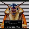 mariazapata539