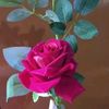 jalal1234543