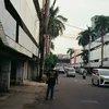 sibogee_