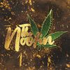 thenoofin