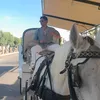 stelios_1606