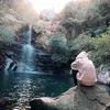 leticia_pf
