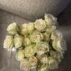 Massara_rh