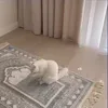 aslrhaf