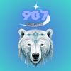 907polar