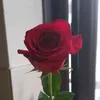 sweetjaan89