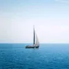 nothingt0xic