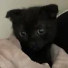 dimitrouuuu