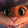 _momba