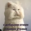 Дельфин Черноморский