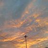 ash_691
