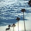 bean_bean4321