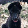 ciertopeluche