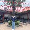 ptmd_281