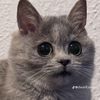 username_98_15