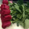 hashenaahmed0