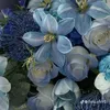 maithanhdat171