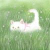 meewomewo