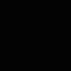 fz.ko