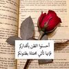 nassim_ali_70