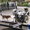 nama_penggunaa22