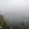 pohui_molodoy1