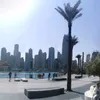 sandro_cabessa